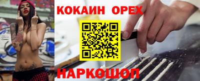 гидра Вязьма