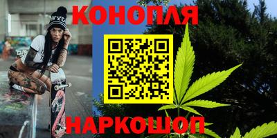 гидра Вязьма