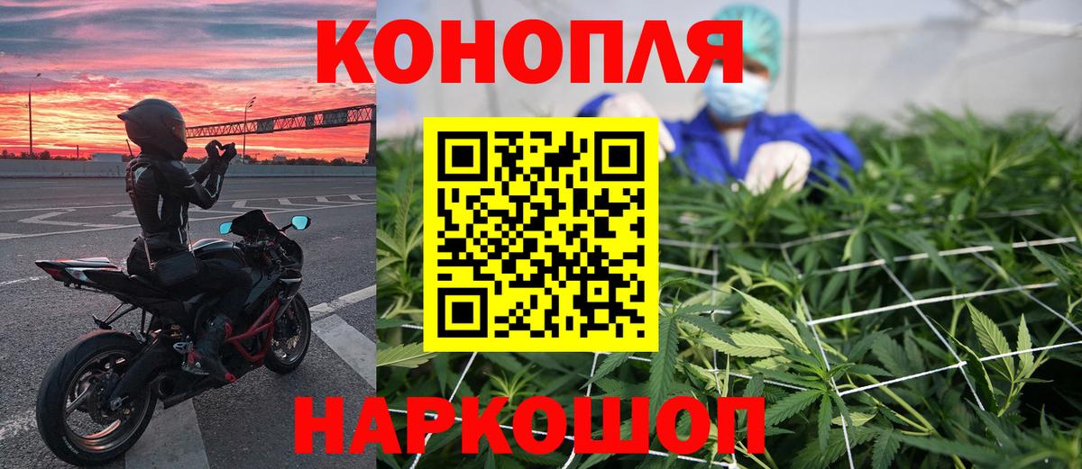 Конопля гибрид Троицк